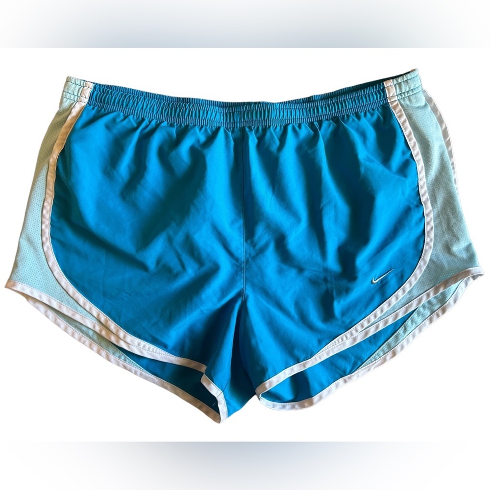 Nike Dri-Fit Shorts, Blue and White, Size M